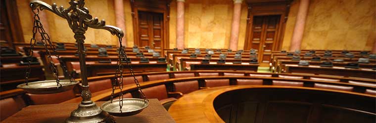 Winning in the Courtroom